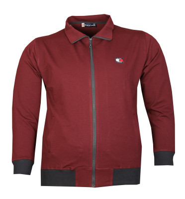  - Büyük Beden Baharlık Fermuarlı Sweatshirt 80016 Bordo