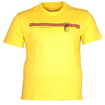 Büyük Beden Bisiklet Yaka T-shirt 75091 Sarı - 